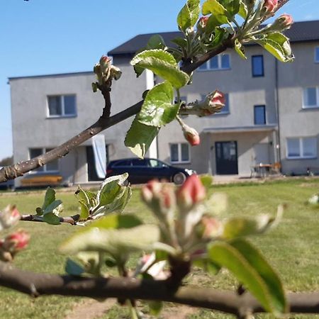 Noclegi Nad Biebrza Stara Szkola Wrocen Eksteriør bilde